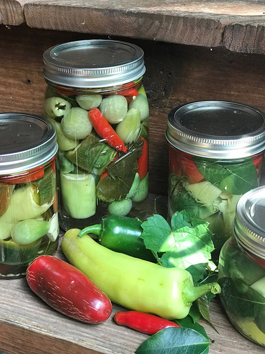 canning-green-tomatoes